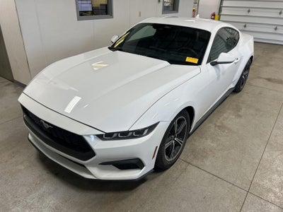 2024 Ford Mustang EcoBoost