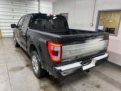 2023 Ford F-150 Platinum