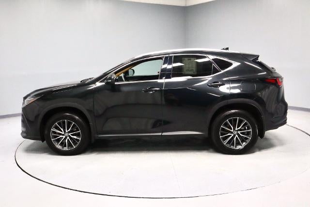 2024 Lexus NX 250 250 Premium