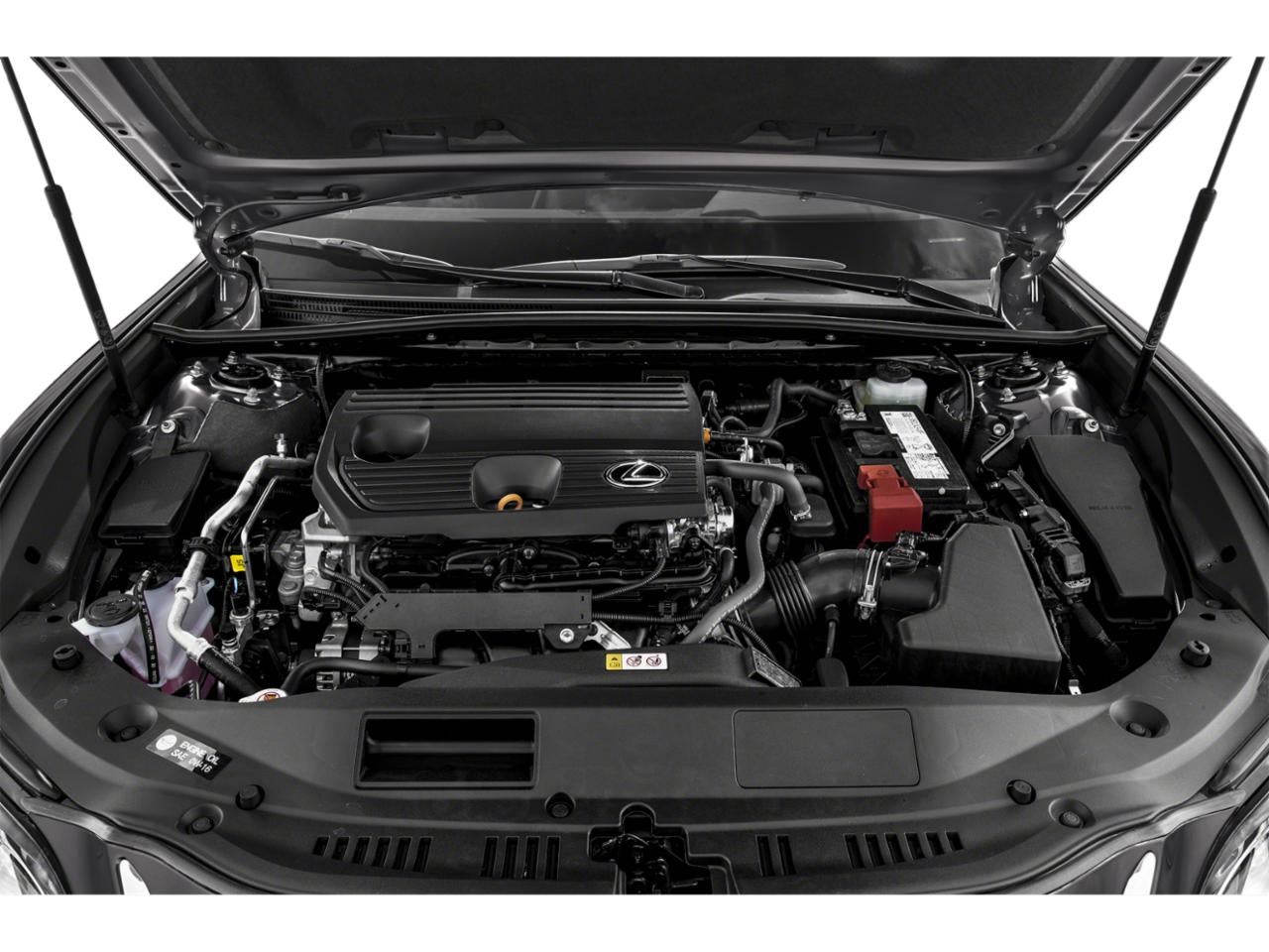 2024 Lexus ES 250 250
