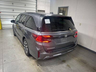 2025 Honda Odyssey EX-L