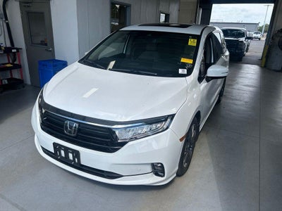 2024 Honda Odyssey Elite