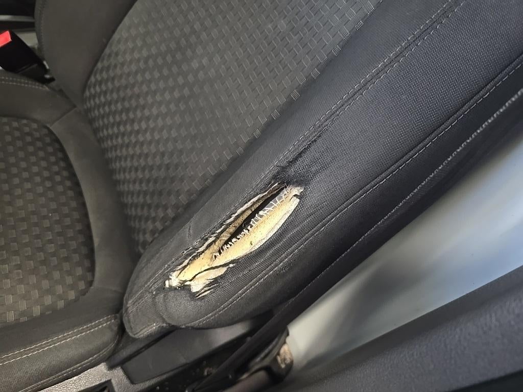 2019 Ford Transit Connect Van XLT